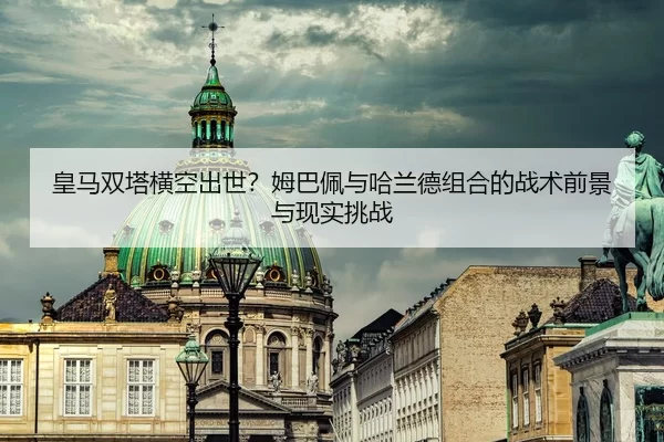 huang-ma-shuang-ta-heng-kong-chu-shi-mu-ba-pei-yu-ha-lan-de-zu-he-de-zhan-shu-qian-jing-yu-xian-shi-tiao-zhan-1-376.jpg